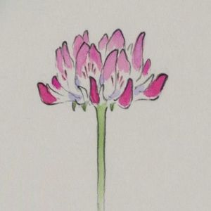 Meet your Posher, Marissa